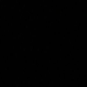 Meet your Posher, Rory